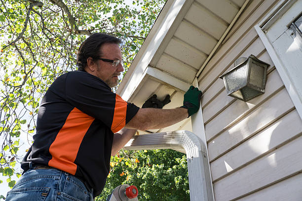 Affordable siding repair and maintenance services in Merrill, WI